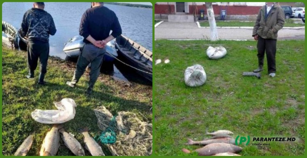 S-au ales cu amenzi usturătoare pentru că au pescuit 50 Kg de pește în perioada de prohibiție
